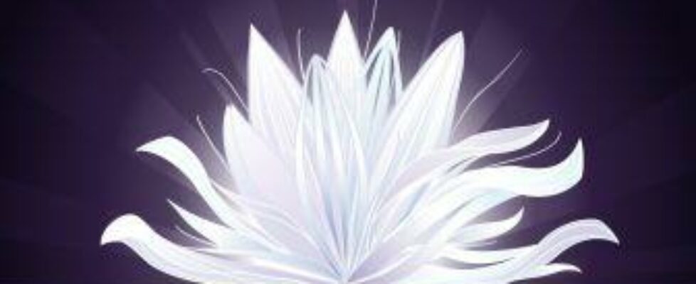 LotusWeb