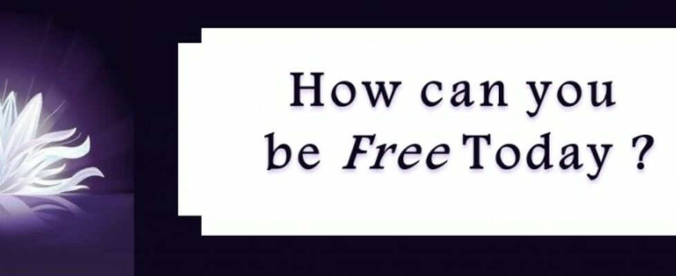 Free Text