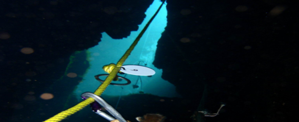 Cave-Mouth-Website-1