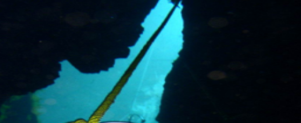 cropped-Cave-Mouth-Website.png